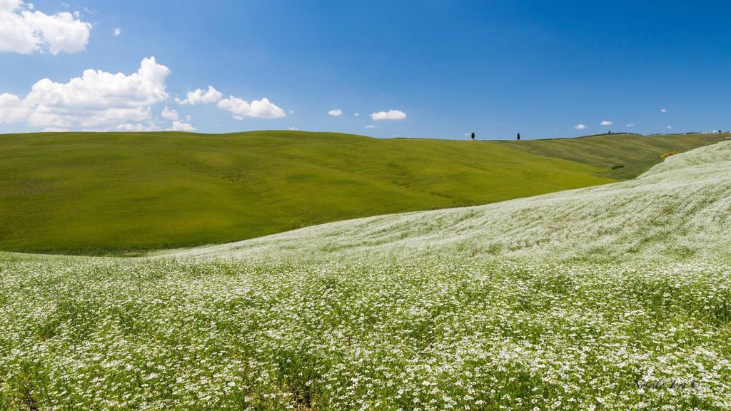 Antica Locanda Pienza Exteriör bild