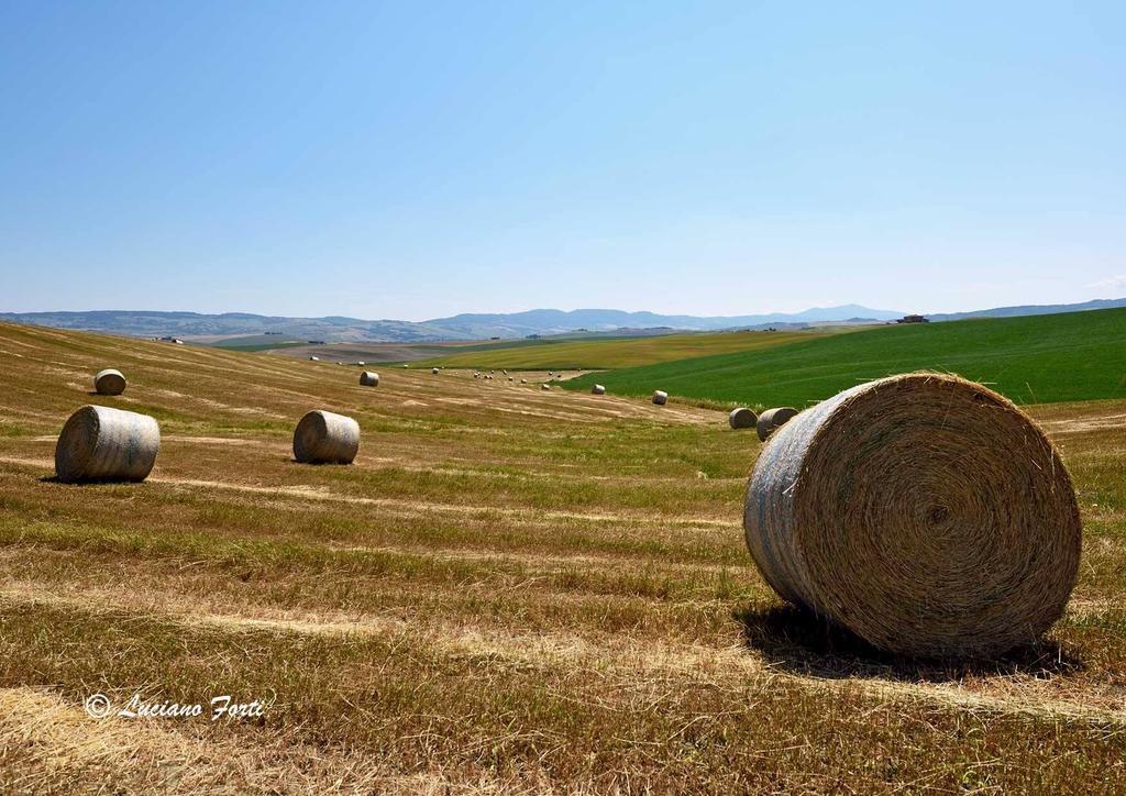Antica Locanda Pienza Exteriör bild
